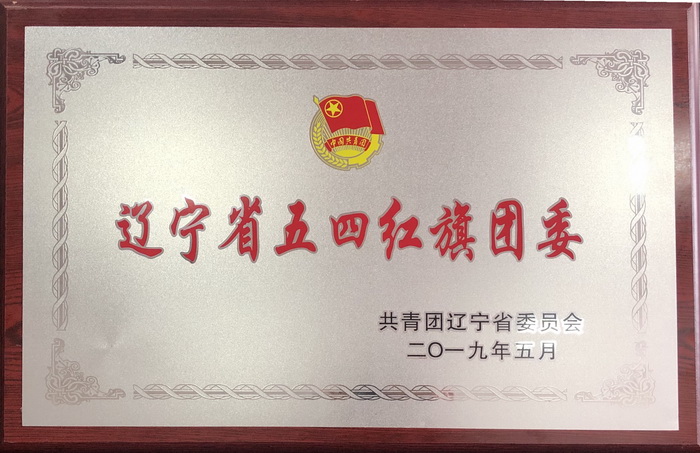 遼寧省五四紅旗團委-700.jpg